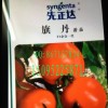 先正达旗丹大红番茄种子种苗原装