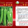 高产,抗病黄绿皮尖椒--皇家贵族