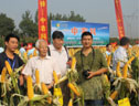 中农科868高产玉米品种观摩会 (10ͼ)