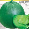 大富农供应绿皮甜瓜-冰翡翠二号