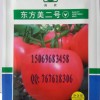 东方美二号粉果番茄种子种苗