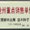 河北沧州苗木种子供应苗木种子采集加工-亿利达种业