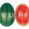 日本进口，精品西瓜种子，口感极佳，品质超群。