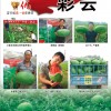优良西瓜品种 鼎优农业-彩云