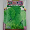 供应批发緑帅大叶木耳菜 油绿大叶木耳菜种子抗病力强 产量高