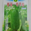 供应批发夏冠一号节瓜耐热性强瓜型美观结瓜容易稳产高产节瓜种子
