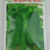 供应荔香农星二号节瓜 早熟深绿色高产抗病味甜节瓜种子品质佳