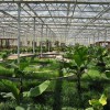 园艺温室建设_一流的园艺温室建造恒大温室提供