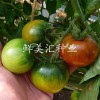 日本进口草莓番茄（西红柿）种子——初恋