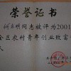 桂林葡萄专业合作社，广西规模大的葡萄专业合作社