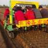 台湾栽植机：华龙机械口碑好的2ZBLZ-10A十行履带自走移栽机出售