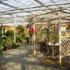 找可信的生态温室建造就到恒大温室_湖南连栋生态餐厅温室建设