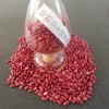 供应廊坊品质有保障的红芸豆——榆阳红芸豆批发厂家