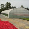 三明温室大棚价格范围|三明温室大棚设计
