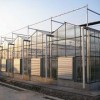 薄膜连栋温室建造商家 专业的薄膜连栋温室推荐
