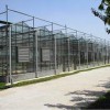 薄膜连栋温室建造——薄膜连栋温室厂家