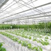 连栋温室大棚价格：山东质量好的连栋温室