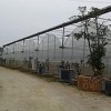 泉州温室大棚专业设计建造 泉州自动水肥一体化蔬菜大棚厂家