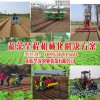 牡丹种植机厂家：大量供应口碑好的蔬菜移栽机