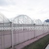神农温室专业承建温室大棚建造_蔬菜温室大棚建造