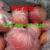 山东红富士批发山东红富士行情批发