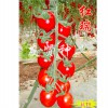 陕西红瑞-抗TY病毒樱桃小番茄种子 优质红瑞-抗TY病毒樱桃小番茄种子当选友贤种业