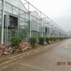 厦门福建玻璃温室大棚哪家好——龙岩玻璃温室大棚