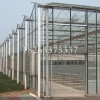 山东完美的玻璃智能温室——玻璃温室建设