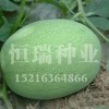 西瓜种子生产厂家|山东西瓜种子批发价格