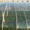 农用大棚膜生产：优质的大棚膜哪里有供应