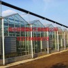 北京日光温室 山东优质的日光温室大棚建造