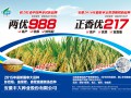 安徽丰大种业股份有限公司水稻品种 (0ͼ)