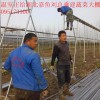 薄膜温室大棚建造哪家专业|蔬菜大棚