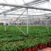 太原园艺温室工程，哪里的园艺温室效果好