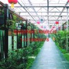 潍坊一流的连栋生态餐厅建设公司，当属佳通温室：建造连栋生态餐厅