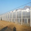 阳光板连栋温室建设建设_山东温室大棚配件生产厂家