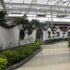 生态温室建造找益兴诚温室|忻州生态温室工程