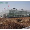 花卉温室大棚建设-哪里有提供精良的温室大棚