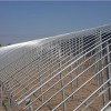 日光温室建设|建造日光温室就来大龙农业