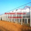 建造连栋薄膜温室 潍坊提供可信赖的连栋薄膜温室建设