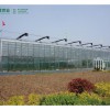 花卉温室大棚——山东结实耐用的温室大棚