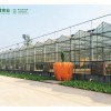 智能温室大棚——建造温室大棚就来明君农业