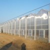 阳光板连栋温室建设多少钱_温室大棚配件生产厂家就找瑞科温室