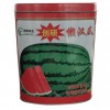供应创研懒汉瓜王种子罐 扁形西瓜铁罐专业定制