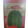 供应方形西瓜种子罐 中国龙西瓜铁罐专业定制
