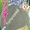 球龙-进口细网纹绿肉甜瓜种子（耐高温）