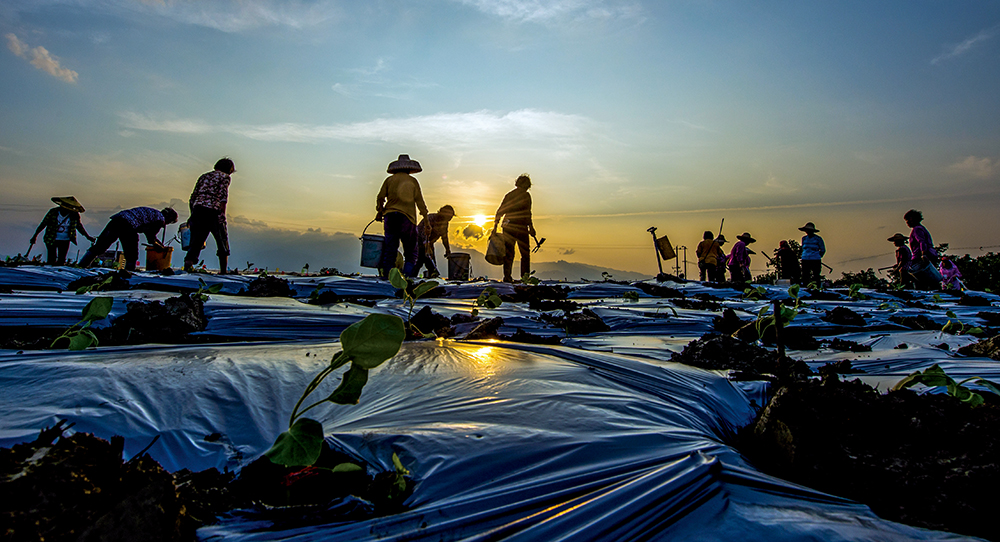 1130407042485597.jpg 纪实5.jpg