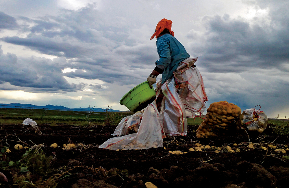 1125208198936675.jpg 纪实2.jpg