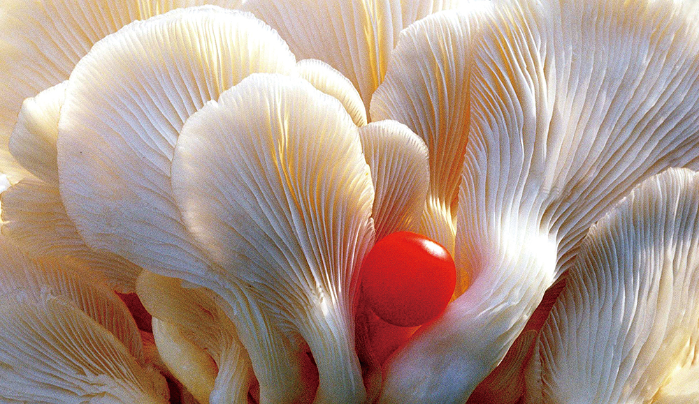 1132538964724960.jpg 创意2.jpg