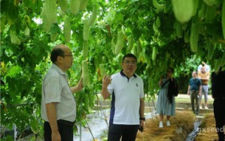 贵州省种子管理站到广西考察调研种业工作